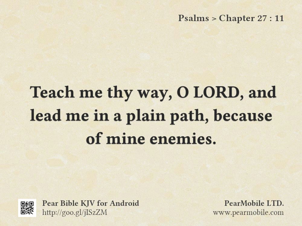 Psalms, Chapter 27:11